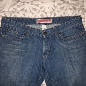 GAP Premium Denim